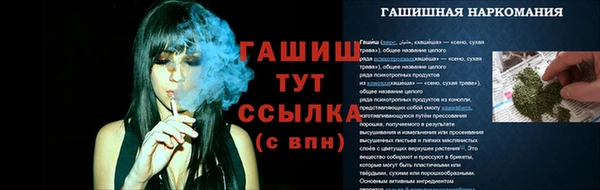 герыч Мегион