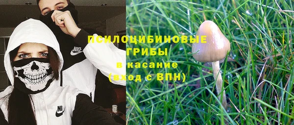герыч Мегион