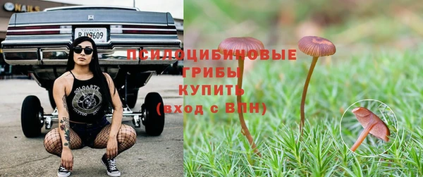 марки nbome Медвежьегорск
