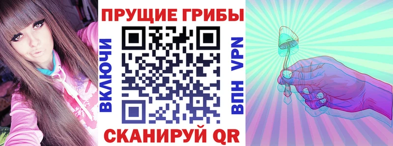 Псилоцибиновые грибы мицелий  купить  сайты  Олёкминск 